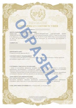 Образец Сертификат СТО 01.064.00220722.2-2020 Добрянка Сертификат СТО 01.064.00220722.2-2020 